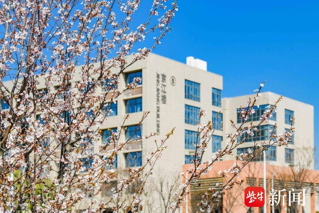 紫牛新闻：立足八大招生优势，江苏大学京江学院锻造领军型应用人才培养新高地