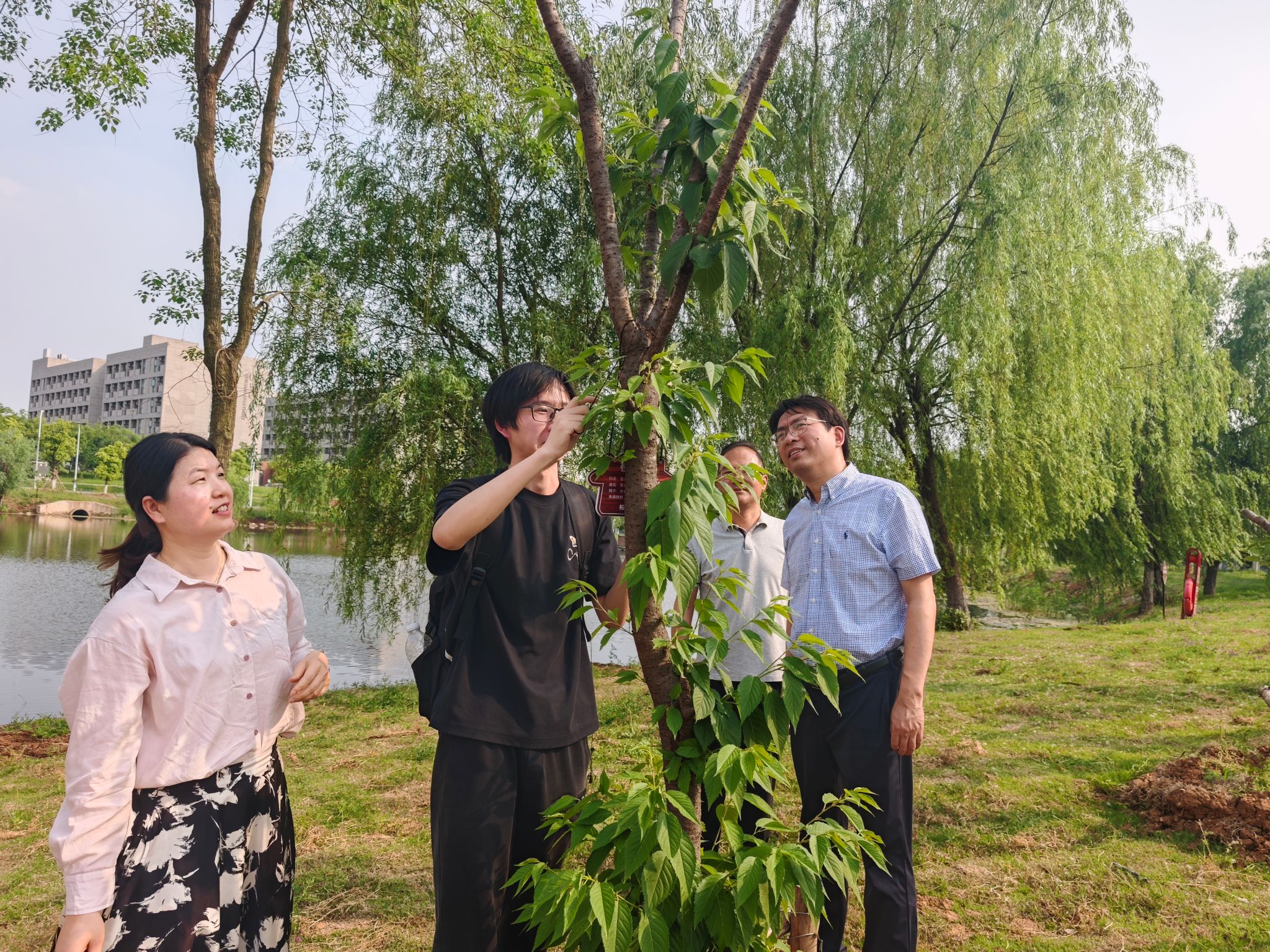 交汇点新闻：以“责任之约”赋能绿色校园建设，江苏大学京江学院机械与动力工程学院举办“樱约而至·薪火相传”樱花树认养挂牌仪式