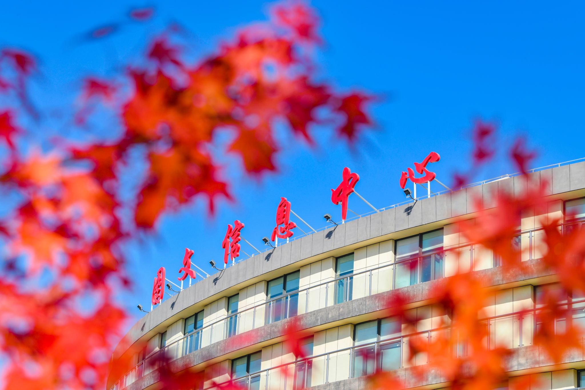 图文信息中心红枫